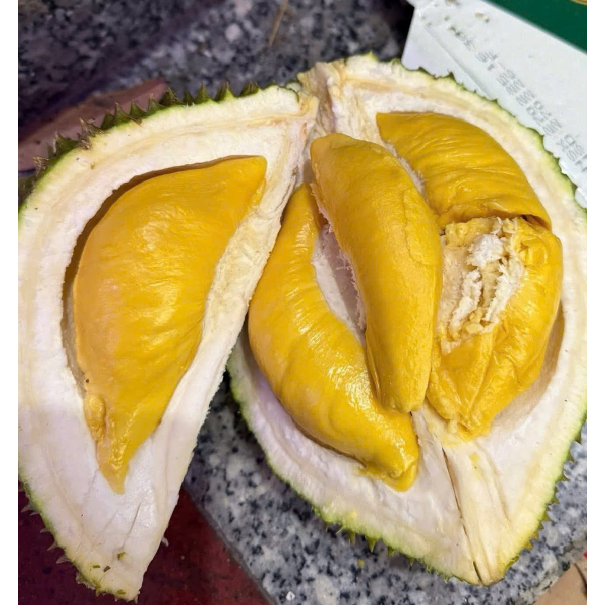 SẦU RIÊNG MUSANGKING