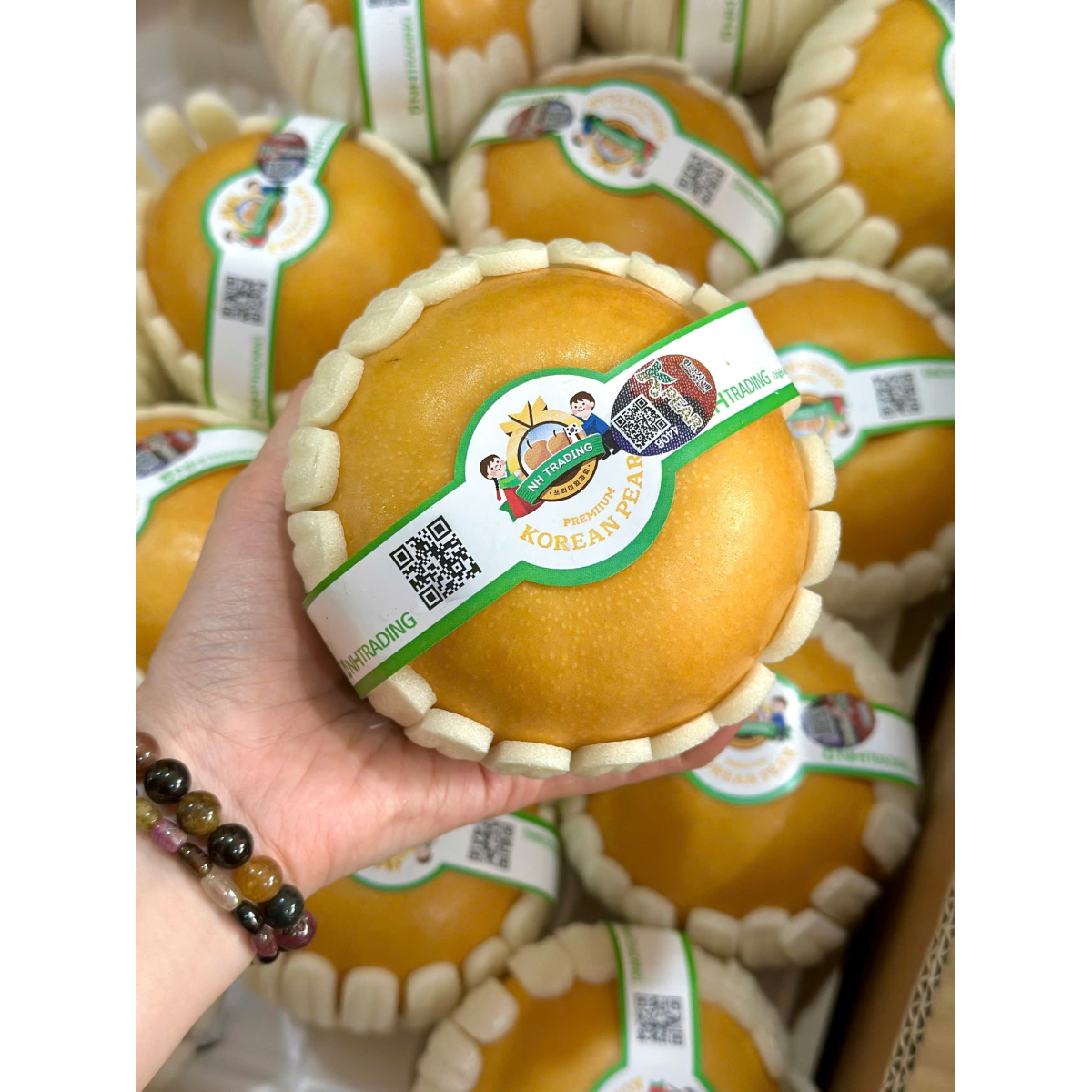 LÊ NÂU SINGO HÀN QUỐC SIZE 32