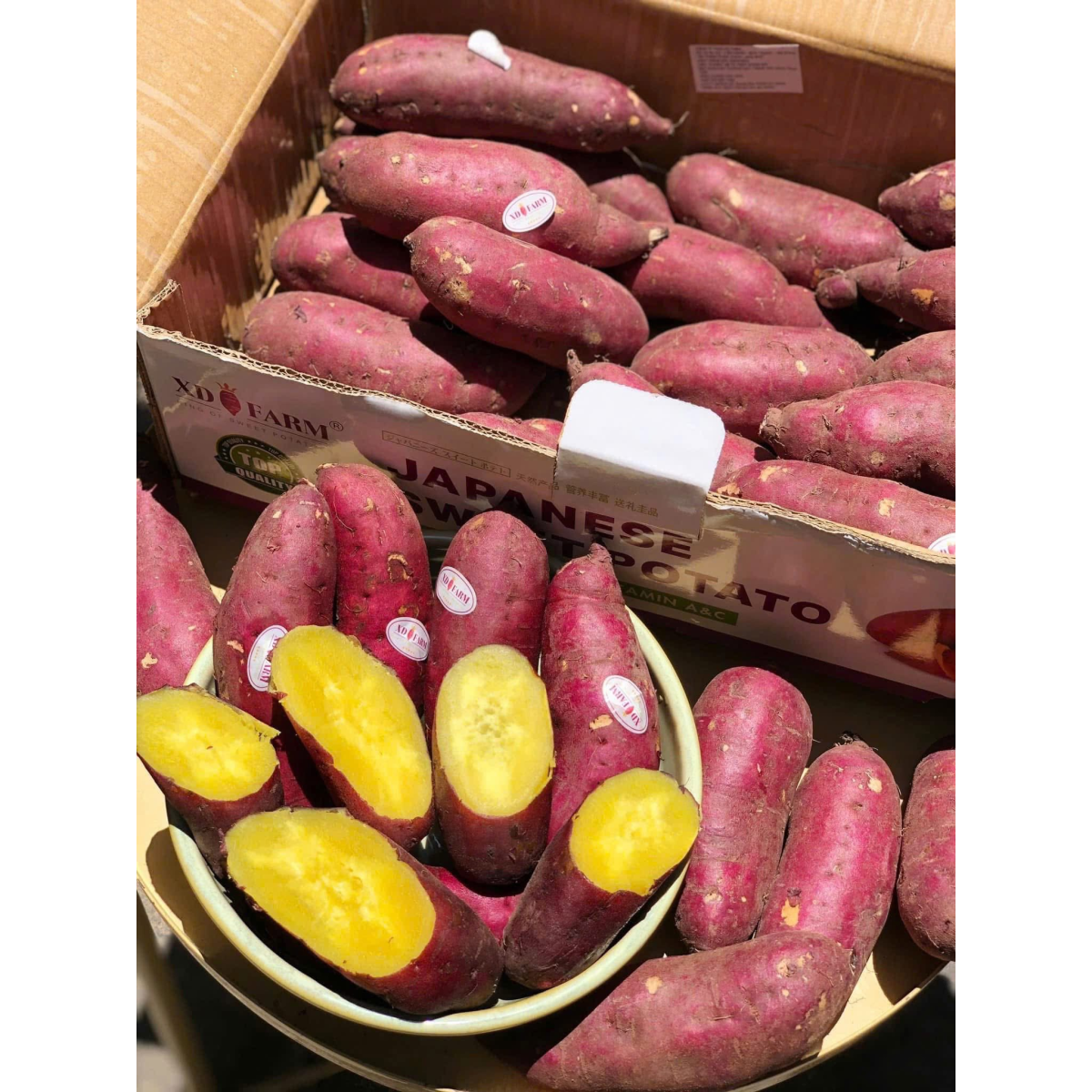 KHOAI LANG XD FARM