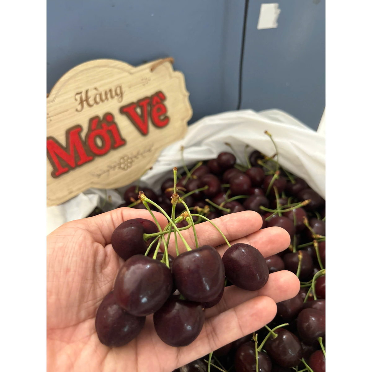 CHERRY MỸ SKEENA SIZE 9.5