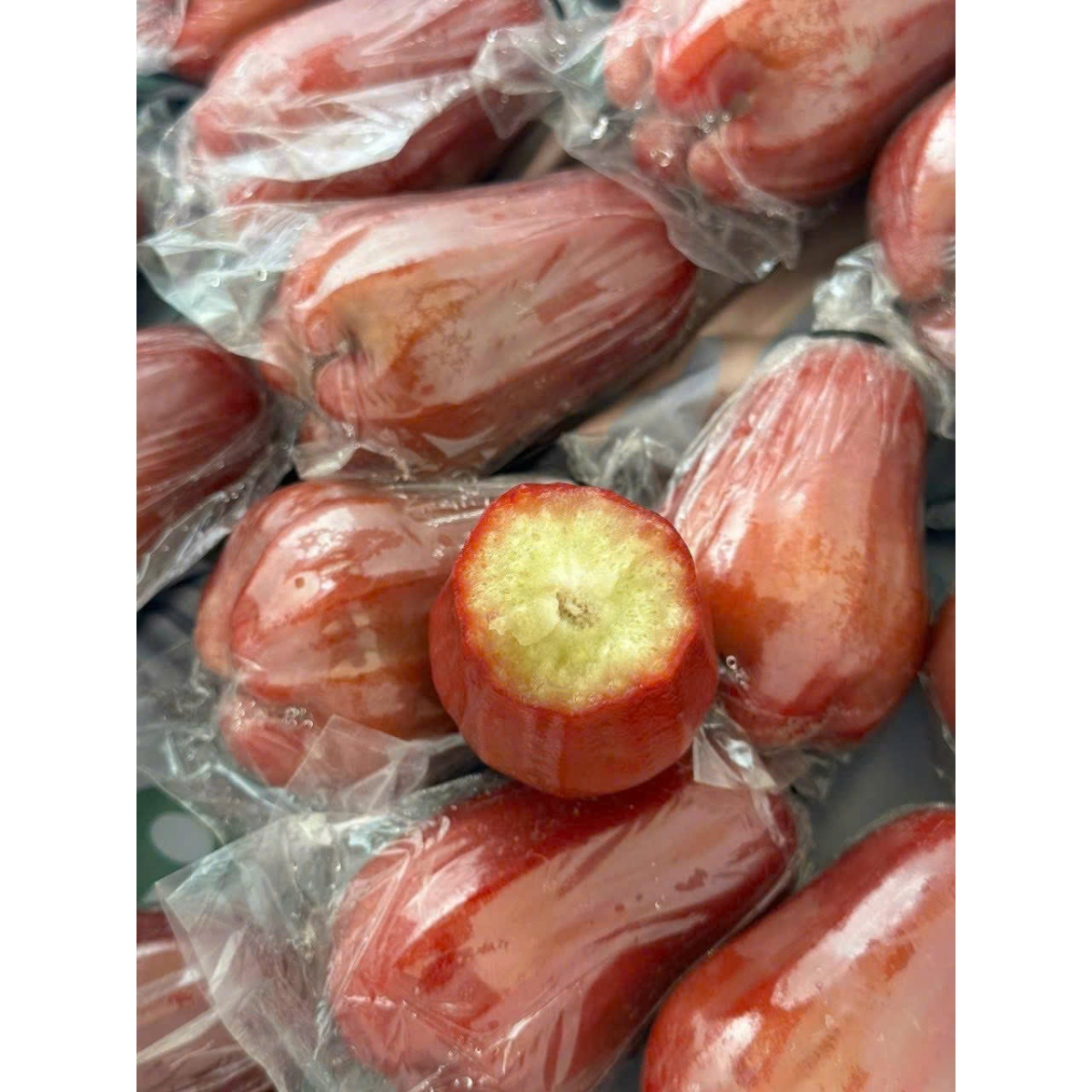 MẬN AN PHƯỚC