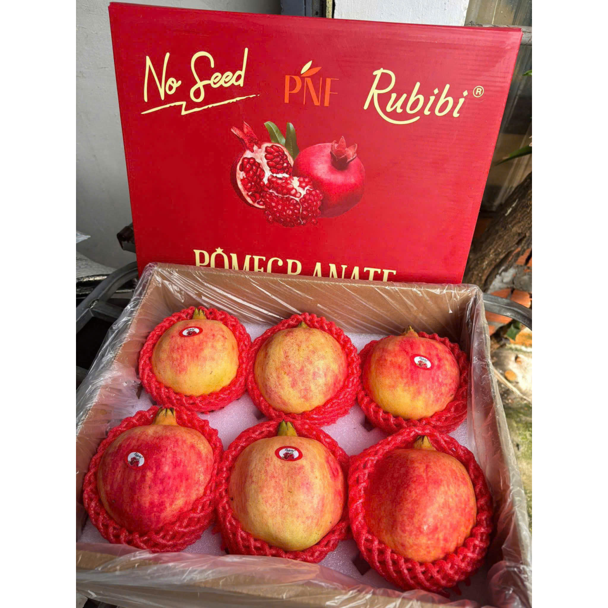 LỰU THÁI RUBIBI SIZE 6