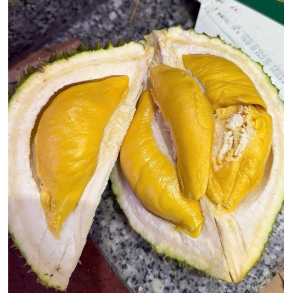 SẦU RIÊNG MUSANGKING