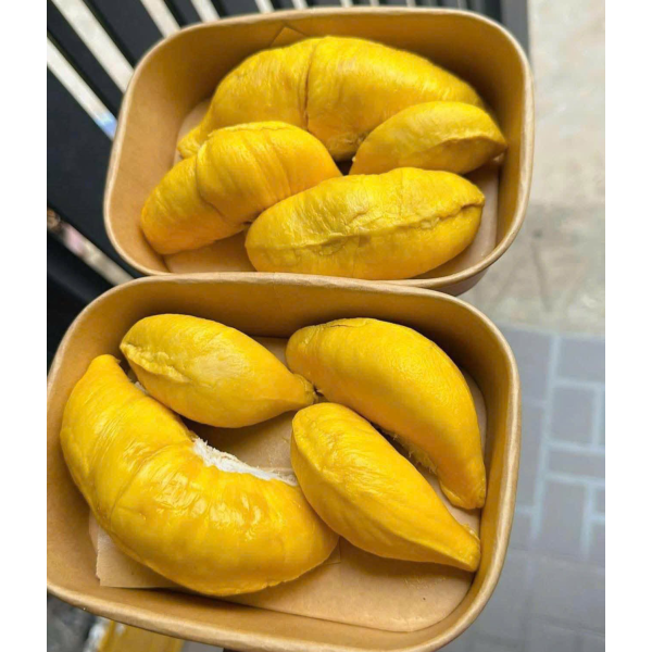 SẦU RIÊNG MUSANGKING