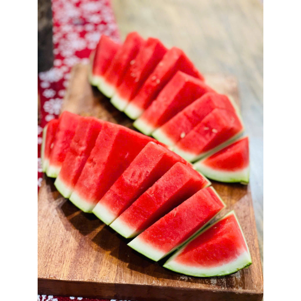 DƯA HẤU ĐỎ KHÔNG HẠT TRỒNG HƯỚNG HỮU CƠ
