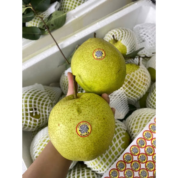 LÊ MẬT HÀ GIANG 