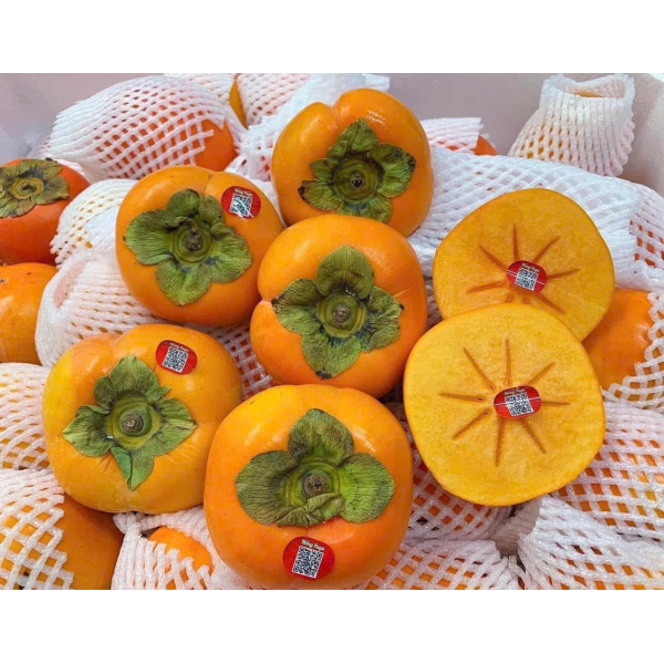 HỒNG GIÒN