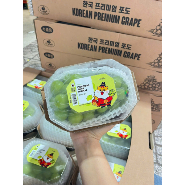 NHO MẪU ĐƠN HÀN QUỐC SHINE MUSCAT