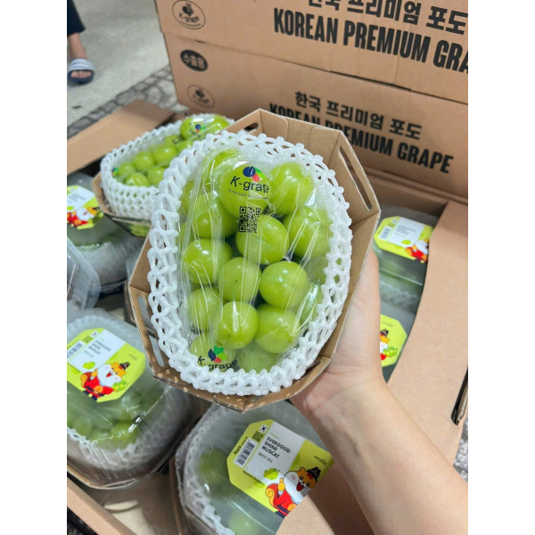 NHO MẪU ĐƠN HÀN QUỐC SHINE MUSCAT
