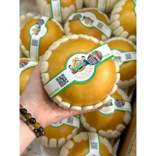 LÊ NÂU SINGO HÀN QUỐC SIZE 32