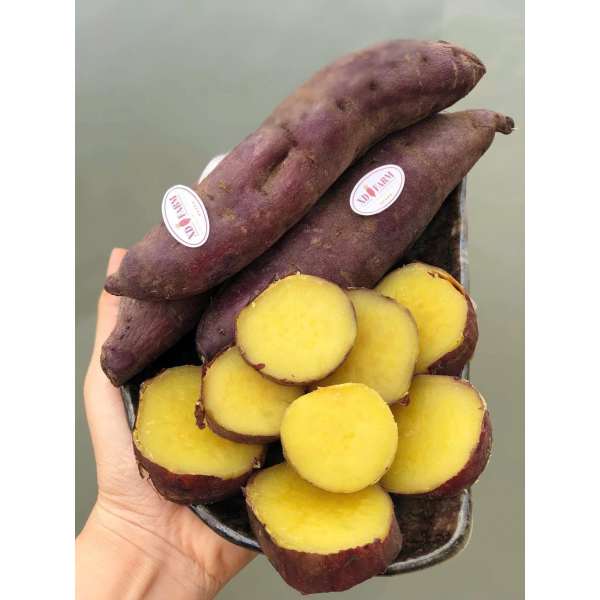 KHOAI LANG XD FARM