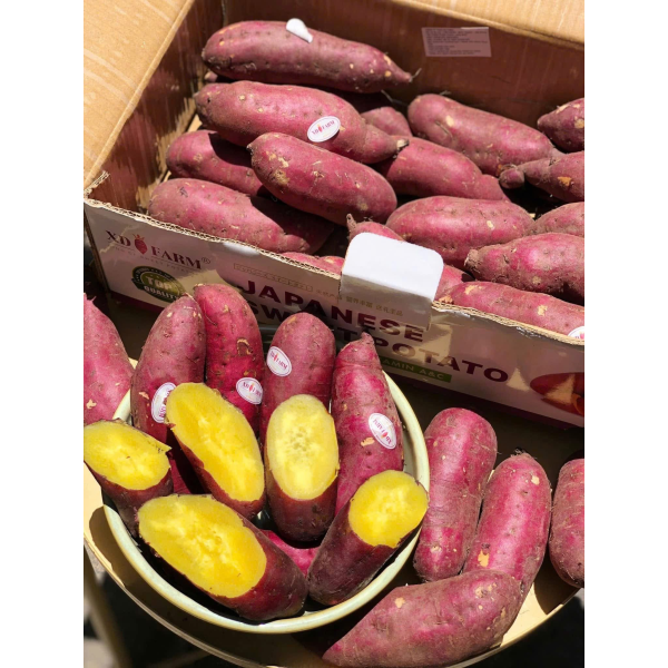 KHOAI LANG XD FARM
