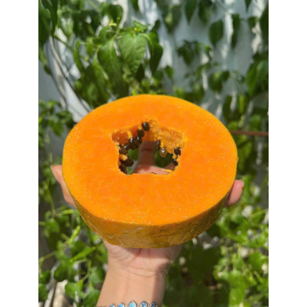 ĐU ĐỦ RUỘT VÀNG