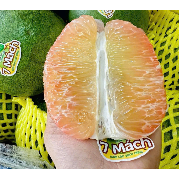 BƯỞI DA XANH LÃO BẢY MÁCH