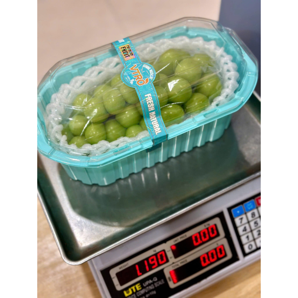 NHO MẪU ĐƠN ĐÀI