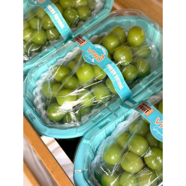 NHO MẪU ĐƠN ĐÀI