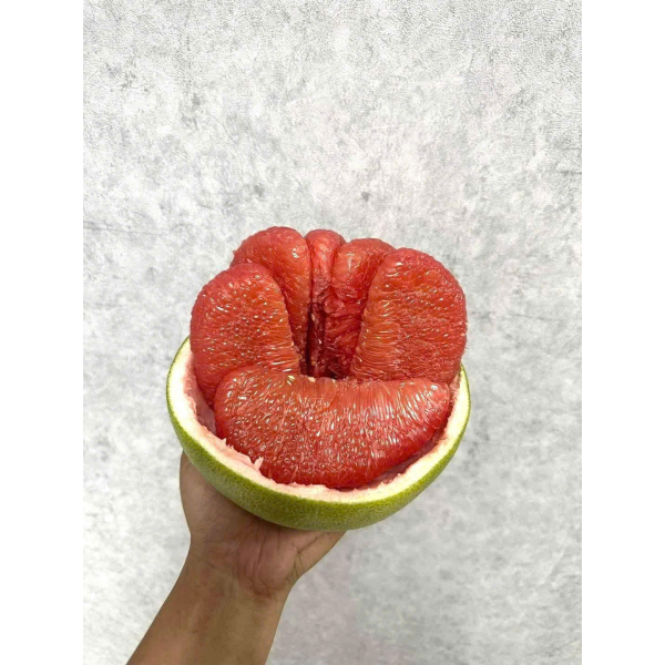 BƯỞI RUBY CÓ CÀNH 