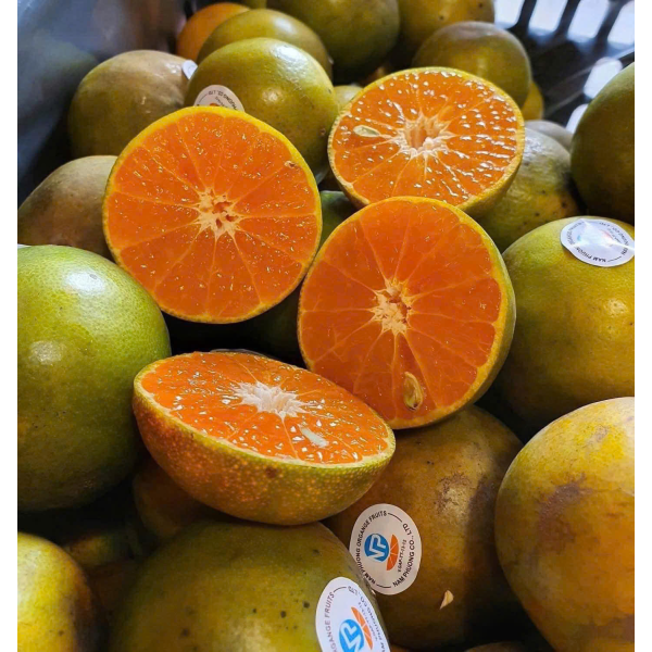 QUÝT ĐƯỜNG NAM PHƯƠNG