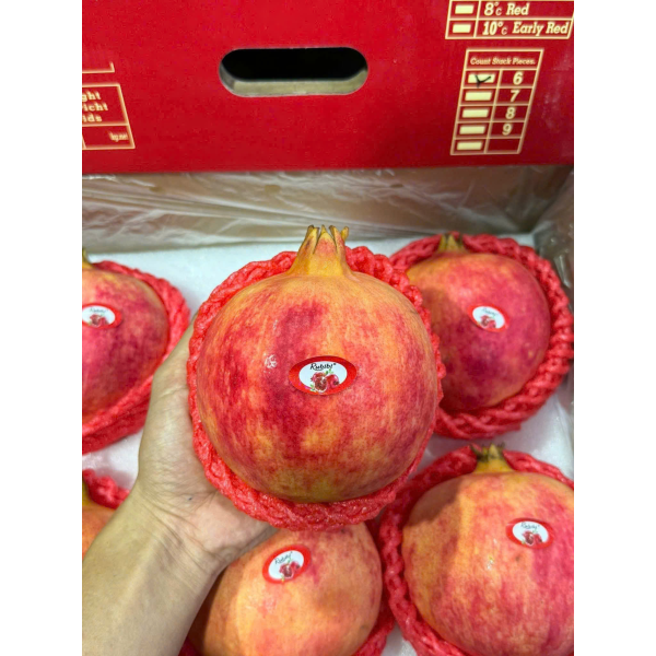 LỰU THÁI RUBIBI SIZE 6