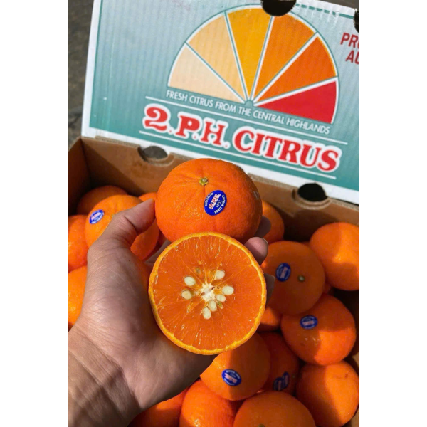 QUÝT ÚC 2PH CITRUS