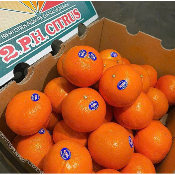QUÝT ÚC 2PH CITRUS