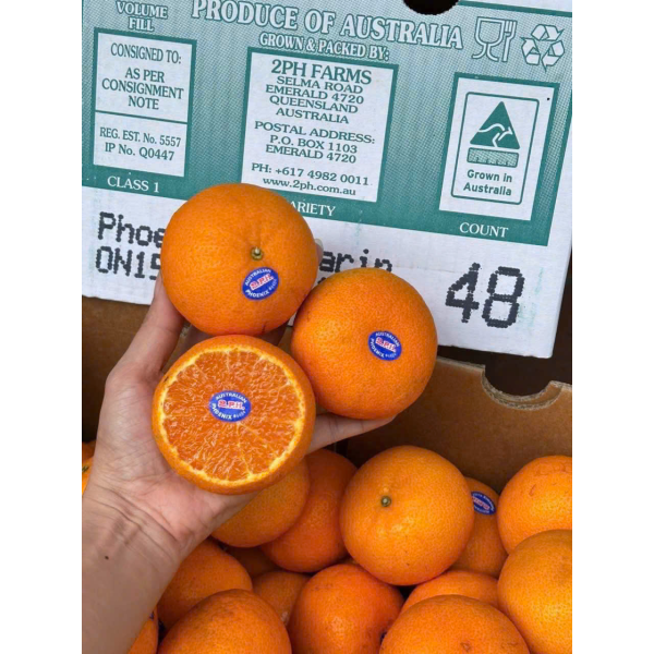 QUÝT ÚC 2PH CITRUS