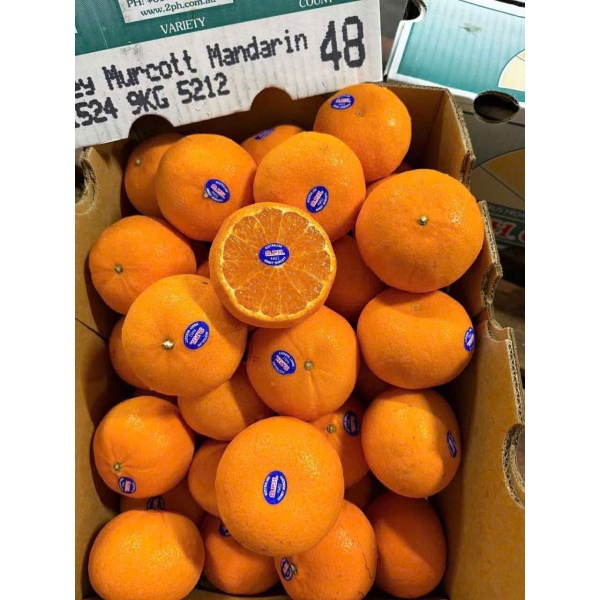 QUÝT ÚC 2PH CITRUS