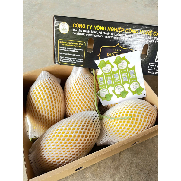 DƯA LƯỚI HUỲNH LONG _ GLOBAL GAP - BÌNH AN FARM