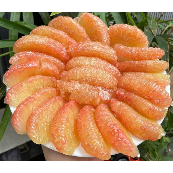 BƯỞI DA XANH LÃO BẢY MÁCH