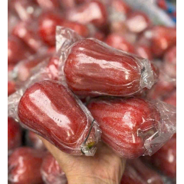 MẬN AN PHƯỚC
